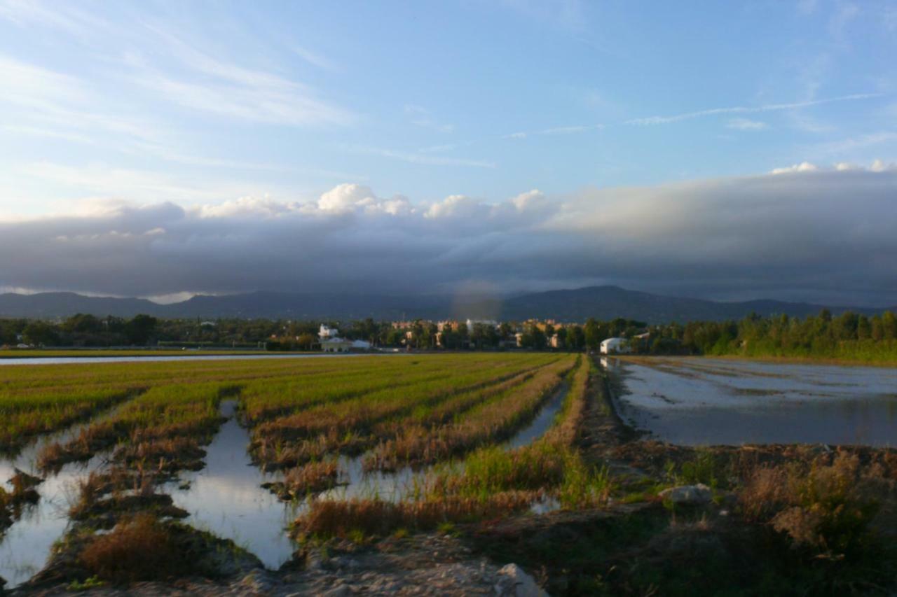 Mi Apartamento en el Delta del Ebro+ Deltebre Exterior foto